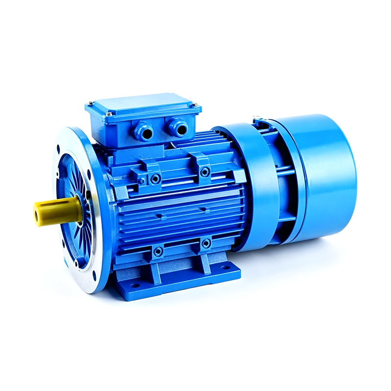 Brake Motors