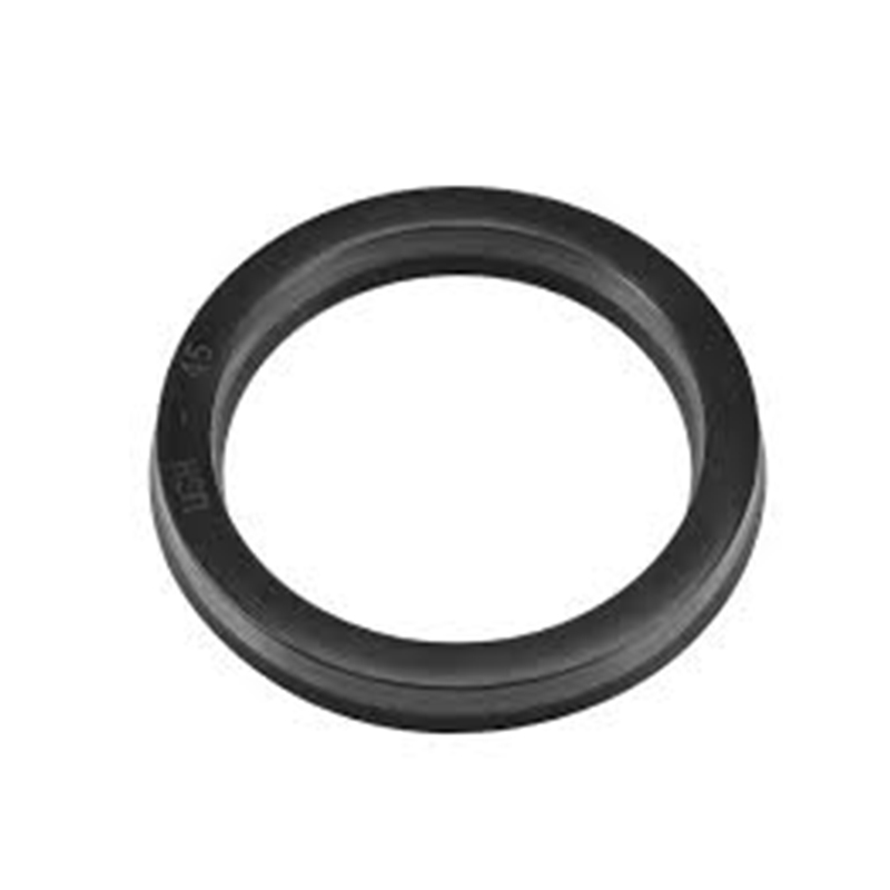 Oil Seal