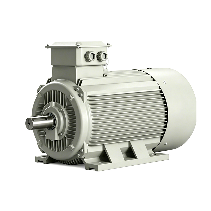 High Power Three-Phase Asynchronous Motors