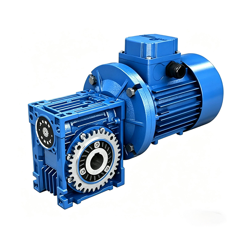 Worm Gear Reducer Motors